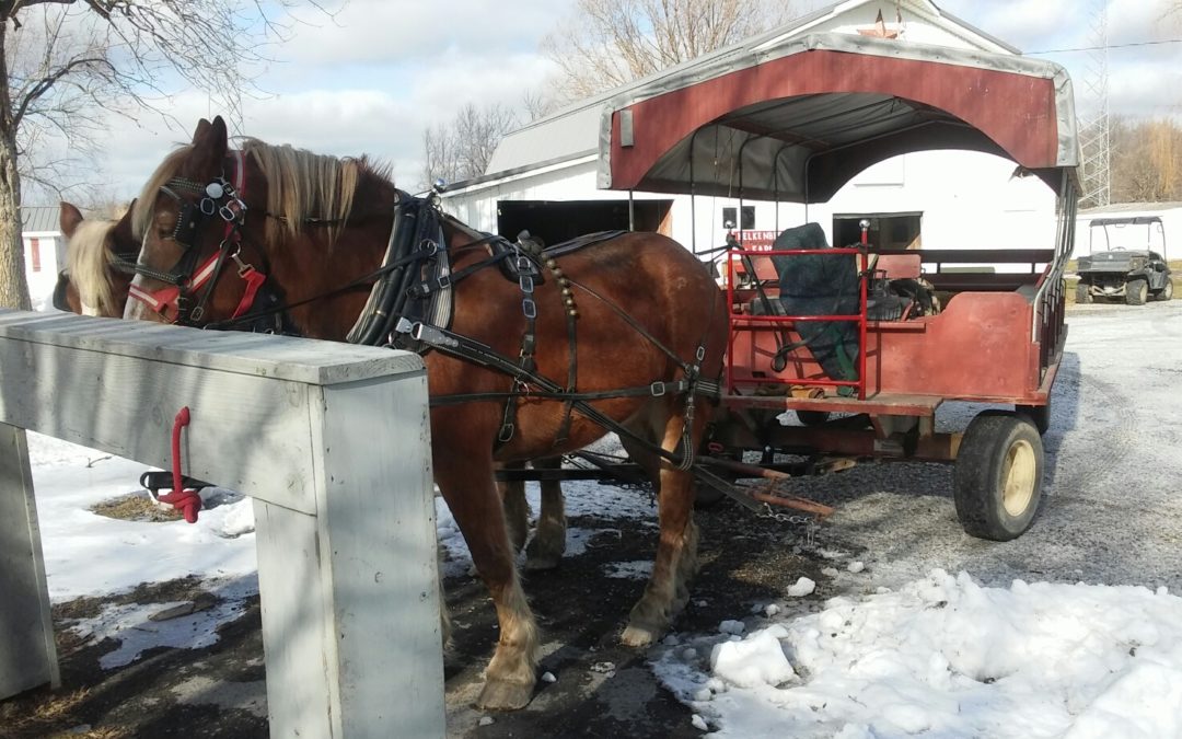 2019 Kelkenberg Farm Wagon Ride