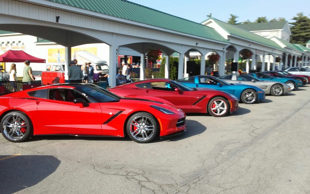 Olcott Beach Cruise